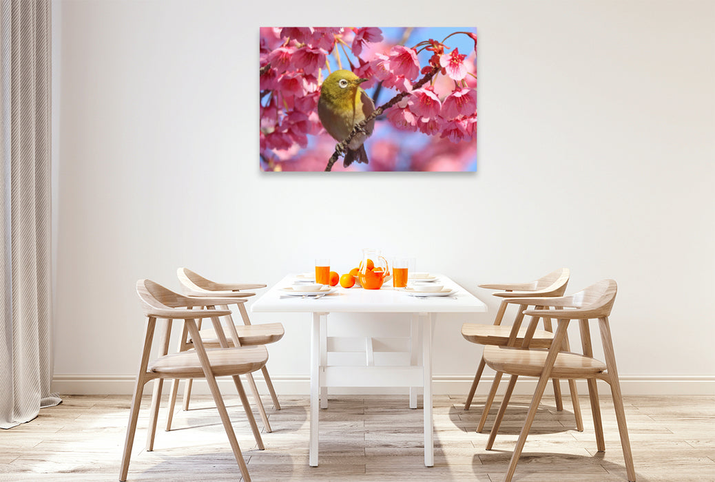 Premium Textil-Leinwand Premium Textil-Leinwand 120 cm x 80 cm quer Ein Japan-Brillenvogel inmitten rosafarbener Kirschblüten.