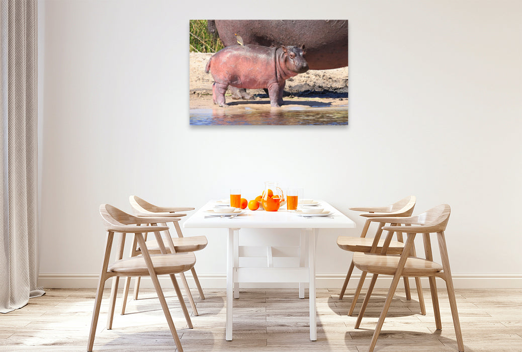 Premium textile canvas Premium textile canvas 120 cm x 80 cm landscape Buffalo Core Area, Caprivi, Namibia 