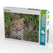 Junger Leopard - CALVENDO Foto-Puzzle - calvendoverlag 29.99