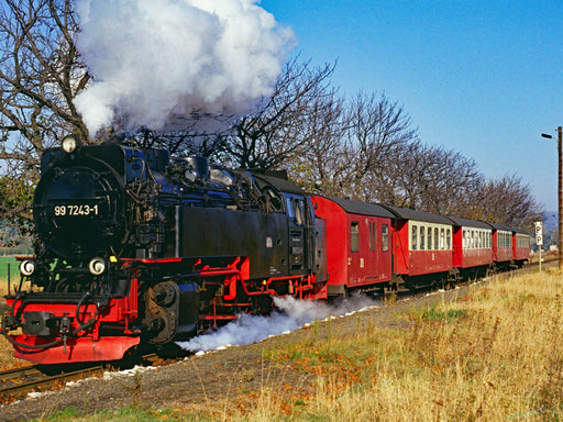 Dampflok der Harzer Schmalspurbahnen 1991 am Hp Nordhausen Krimderode - CALVENDO Foto-Puzzle - calvendoverlag 29.99