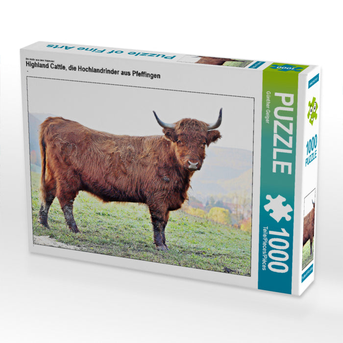 Highland Cattle, die Hochlandrinder aus Pfeffingen - CALVENDO Foto-Puzzle - calvendoverlag 29.99