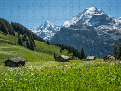 Alphütten mit Mönch, Berner Oberland nahe Birg, Schweiz - CALVENDO Foto-Puzzle - calvendoverlag 29.99