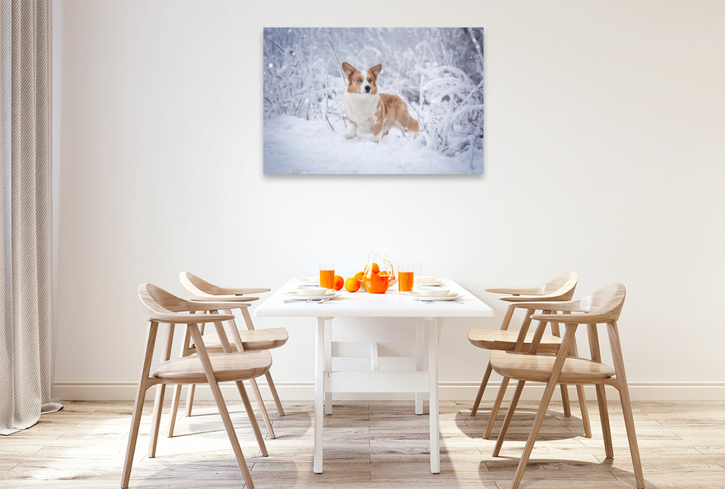 Premium Textil-Leinwand Premium Textil-Leinwand 120 cm x 80 cm quer Welsh Corgi im Schnee