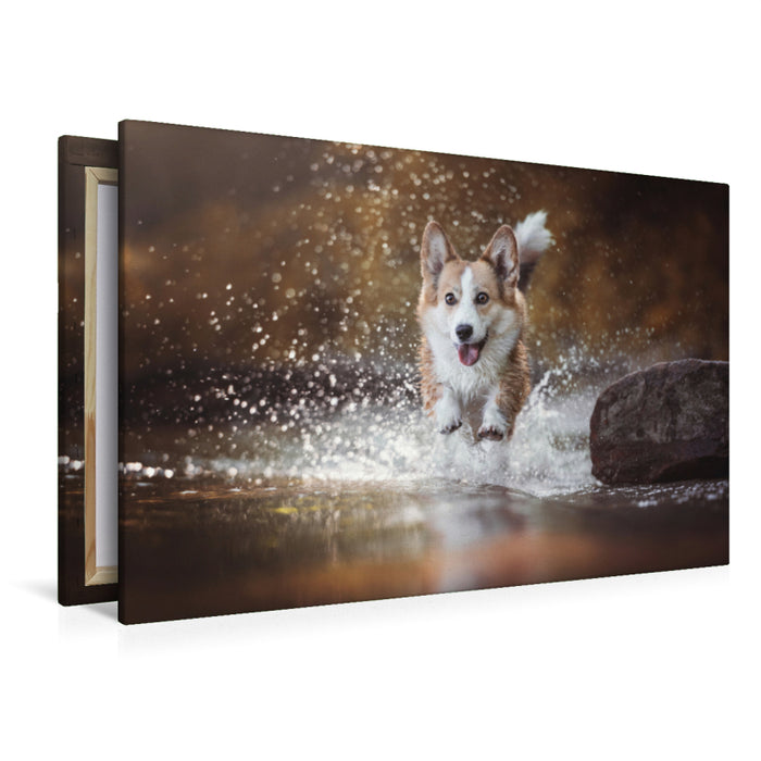 Premium Textil-Leinwand Premium Textil-Leinwand 120 cm x 80 cm quer Wasseraction mit Welsh Corgi Molly