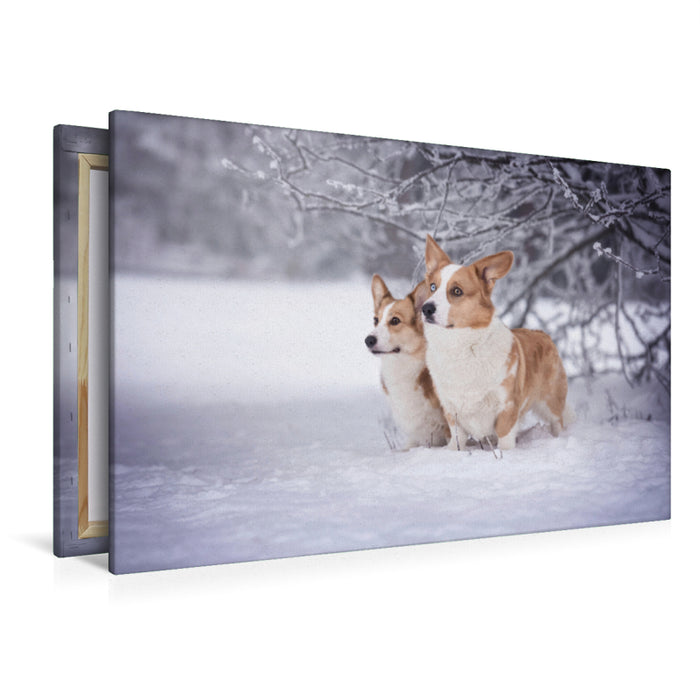 Premium Textil-Leinwand Premium Textil-Leinwand 120 cm x 80 cm quer Winterzauber mit den Corgwn