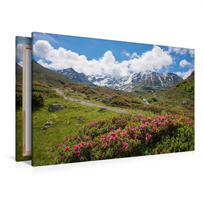 Premium textile canvas Premium textile canvas 120 cm x 80 cm landscape Alpine roses on Dürrboden 
