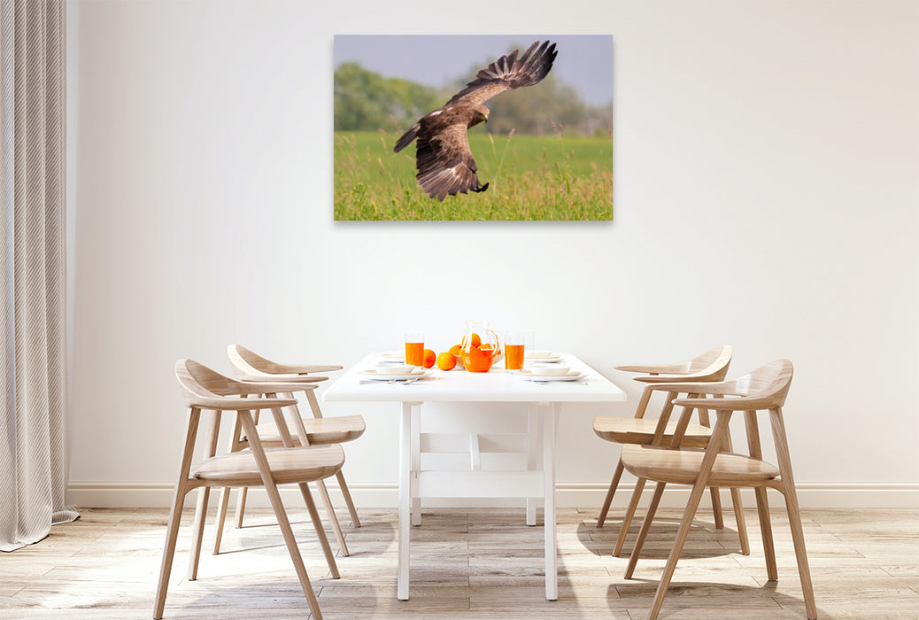 Premium textile canvas Premium textile canvas 120 cm x 80 cm landscape Lesser Spotted Eagle, adult bird approaching 