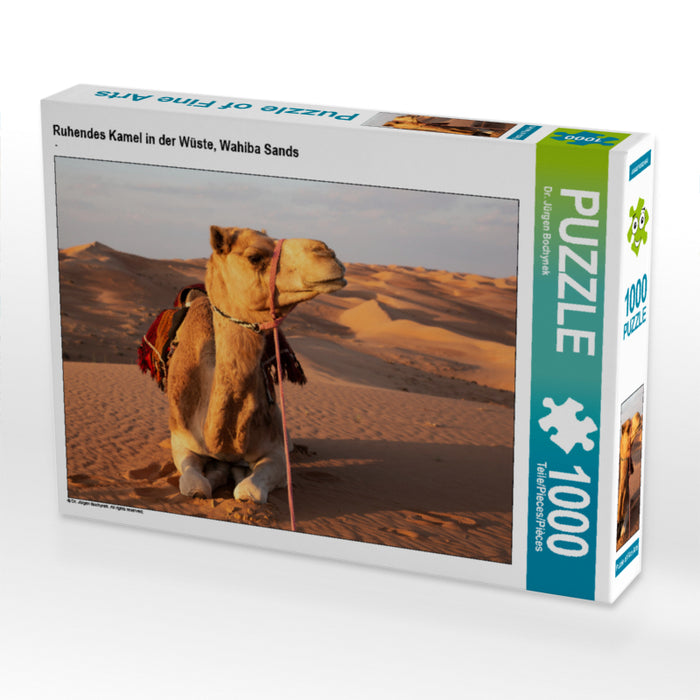 Ruhendes Kamel in der Wüste, Wahiba Sands - CALVENDO Foto-Puzzle - calvendoverlag 29.99