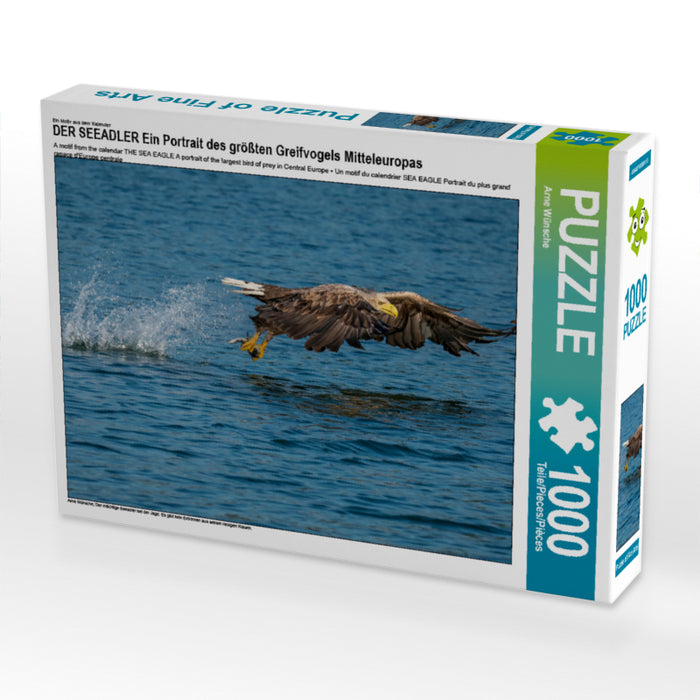 DER SEEADLER Ein Portrait des größten Greifvogels Mitteleuropas - CALVENDO Foto-Puzzle - calvendoverlag 29.99