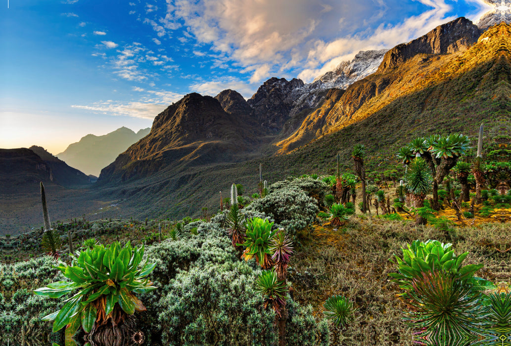 Premium textile canvas Premium textile canvas 120 cm x 80 cm landscape Sunrise in the Mogusu Valley of the Ruwenzori 