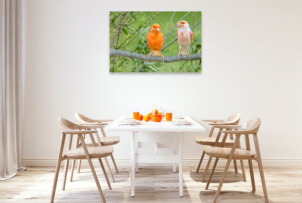 Premium textile canvas Premium textile canvas 120 cm x 80 cm landscape Two canaries 