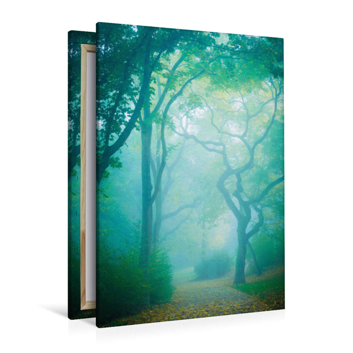 Premium textile canvas Premium textile canvas 80 cm x 120 cm high trees in the fog 