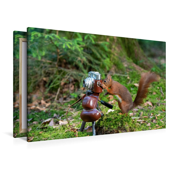 Premium textile canvas Premium textile canvas 120 cm x 80 cm landscape The squirrel photographer 