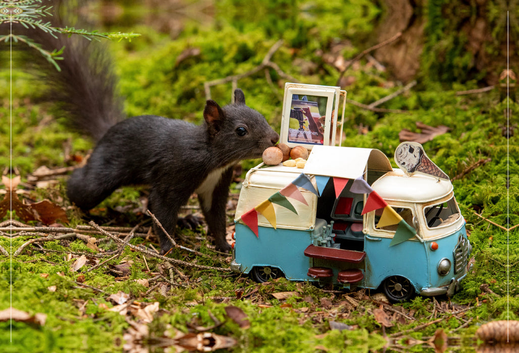 Premium textile canvas Premium textile canvas 90 cm x 60 cm across There is nut ice cream, dear Black Forest squirrel! 