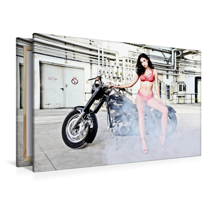 Premium textile canvas Premium textile canvas 120 cm x 80 cm landscape Crissy in Sexy Red with an Erlysovel FL1200 Bj.69 