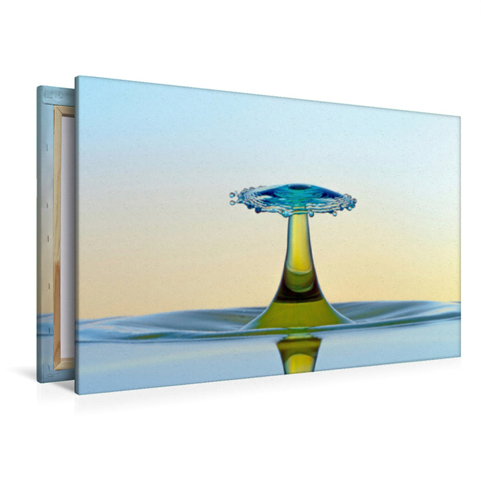 Premium textile canvas Premium textile canvas 120 cm x 80 cm landscape water drop sculpture “Mushroom” 