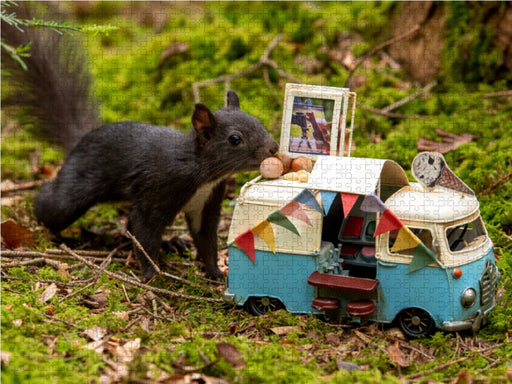 Es gibt Nuss-Eis, liebes Schwarzwald-Eichhörnchen! - CALVENDO Foto-Puzzle - calvendoverlag 29.99