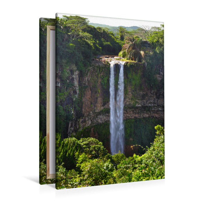 Premium Textil-Leinwand Premium Textil-Leinwand 80 cm x 120 cm  hoch Chamarel-Wasserfall