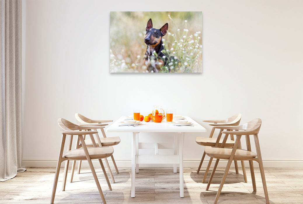 Premium Textil-Leinwand Premium Textil-Leinwand 120 cm x 80 cm quer Bullterrier sitzt in Sommerblümchen