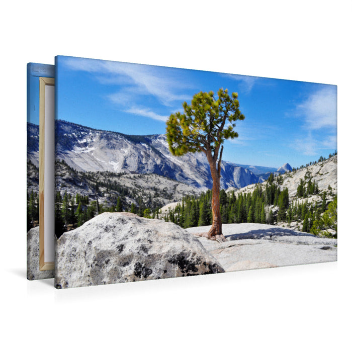 Premium Textil-Leinwand Premium Textil-Leinwand 120 cm x 80 cm quer Ein Motiv aus dem Kalender Erlebe mit mir die Landschaft des Yosemite Nationalpark