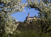 Burg Teck von der Owener Steige - CALVENDO Foto-Puzzle - calvendoverlag 29.99