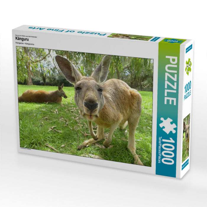 Känguru - CALVENDO Foto-Puzzle - calvendoverlag 29.99