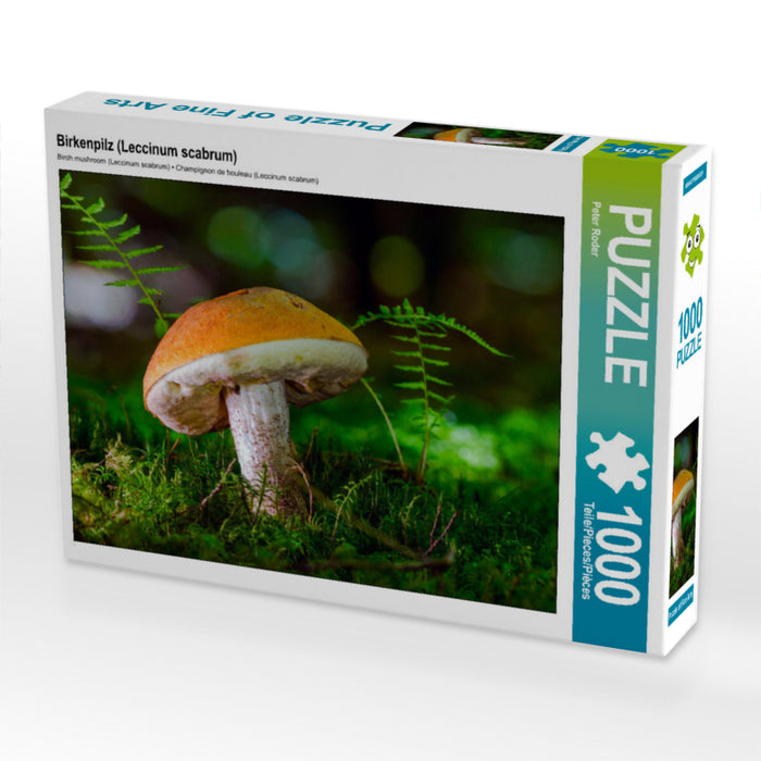 Birkenpilz (Leccinum scabrum) - CALVENDO Foto-Puzzle - calvendoverlag 29.99