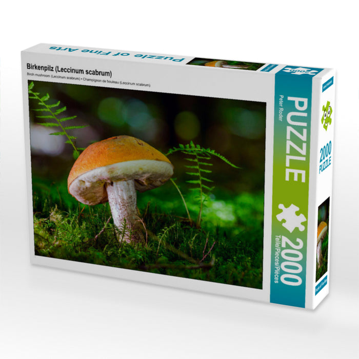 Birkenpilz (Leccinum scabrum) - CALVENDO Foto-Puzzle - calvendoverlag 29.99