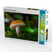 Birkenpilz (Leccinum scabrum) - CALVENDO Foto-Puzzle - calvendoverlag 29.99