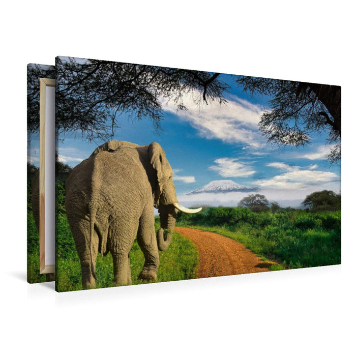 Premium Textil-Leinwand Premium Textil-Leinwand 120 cm x 80 cm quer Elefant und Kilimandscharo