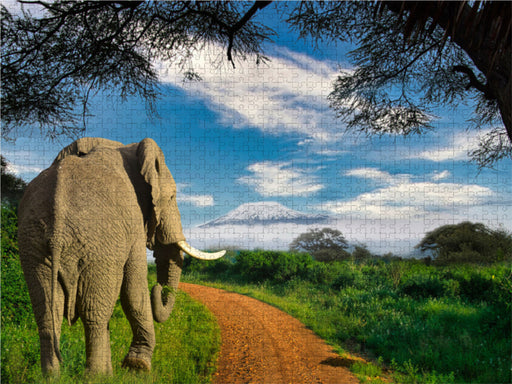 Elefant und Kilimandscharo - CALVENDO Foto-Puzzle - calvendoverlag 29.99