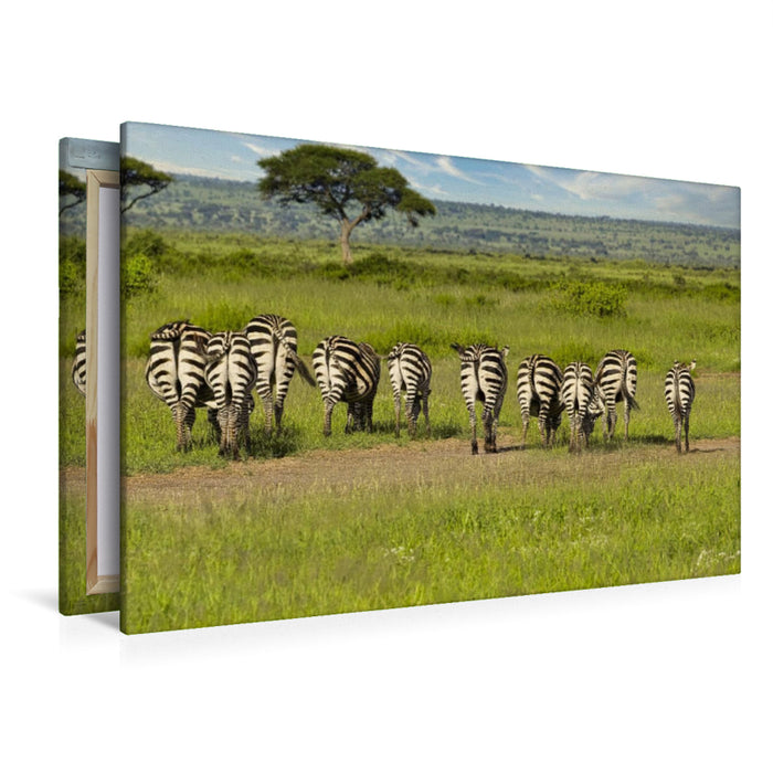 Premium Textil-Leinwand Premium Textil-Leinwand 120 cm x 80 cm quer Eine Herde Zebras