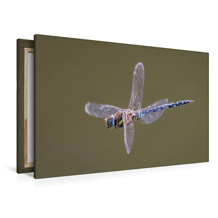 Premium textile canvas Premium textile canvas 120 cm x 80 cm horizontally, floating 