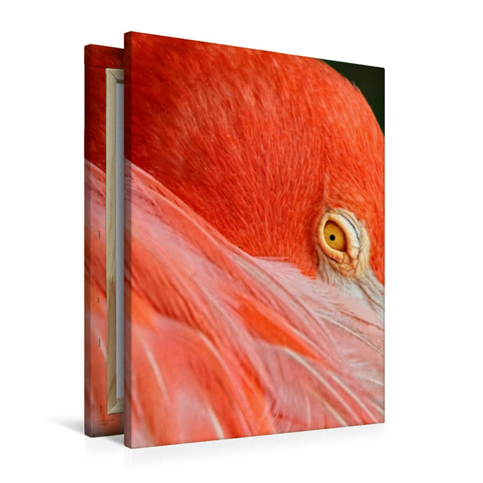 Premium Textil-Leinwand Premium Textil-Leinwand 60 cm x 90 cm hoch Flamingo