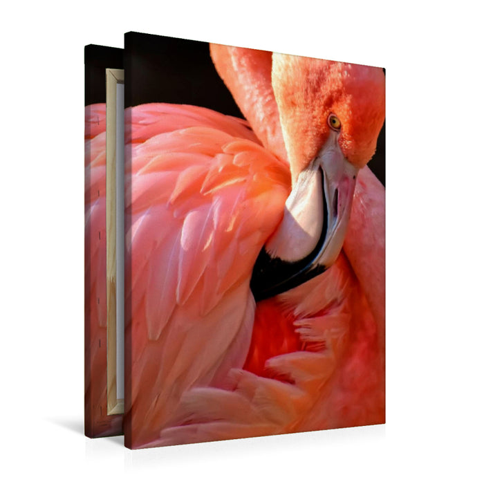 Premium Textil-Leinwand Premium Textil-Leinwand 60 cm x 90 cm hoch Flamingo