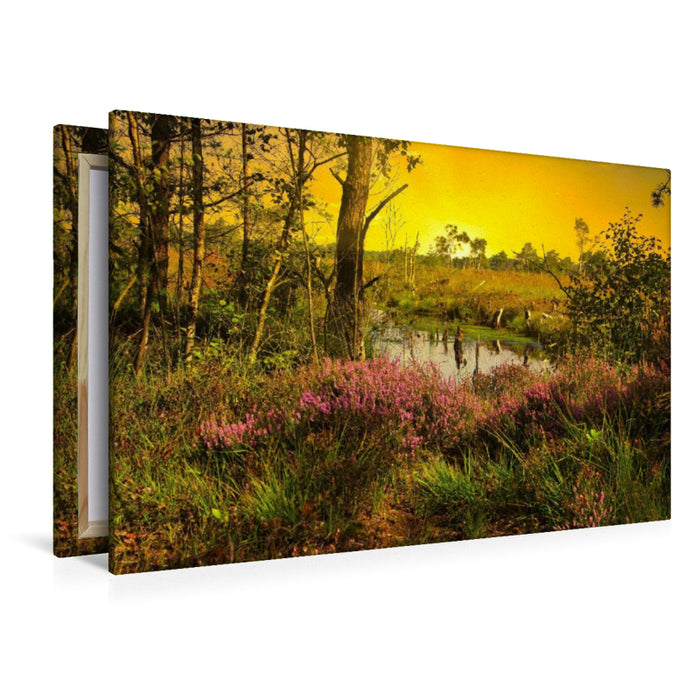 Premium textile canvas Premium textile canvas 120 cm x 80 cm landscape Pietzmoor heath landscape 