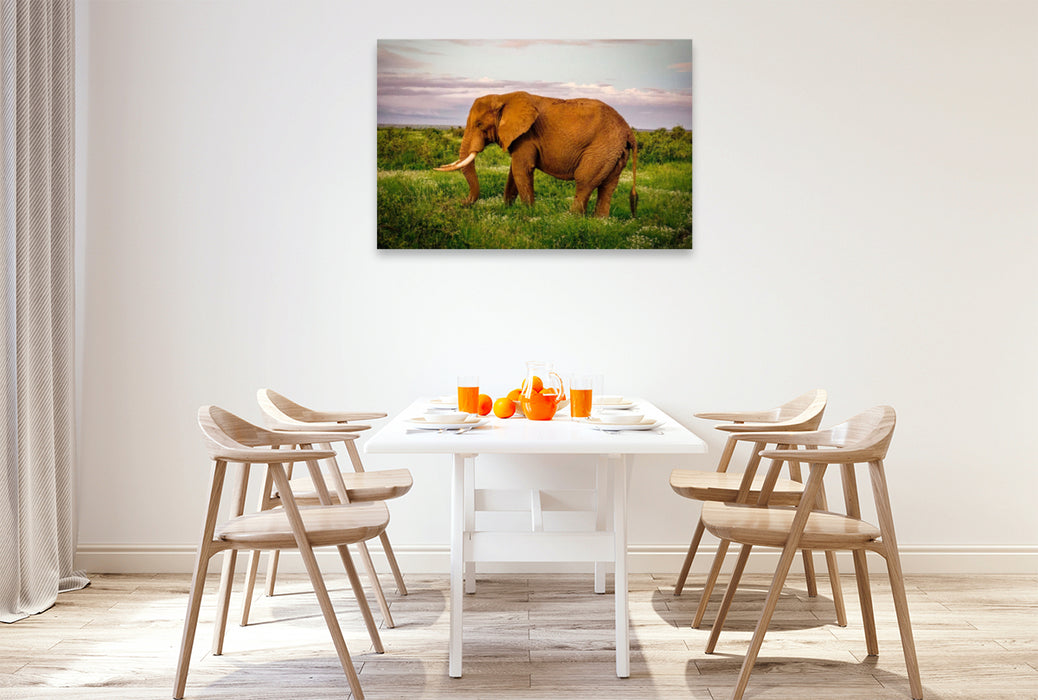 Premium textile canvas Premium textile canvas 120 cm x 80 cm landscape Elephant in the savannah 