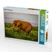 Elefant in der Savanne - CALVENDO Foto-Puzzle - calvendoverlag 29.99