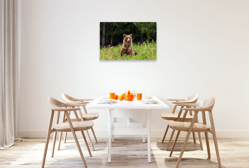 Premium textile canvas Premium textile canvas 90 cm x 60 cm landscape grizzly bear 