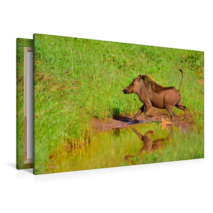 Premium textile canvas Premium textile canvas 120 cm x 80 cm landscape warthog 
