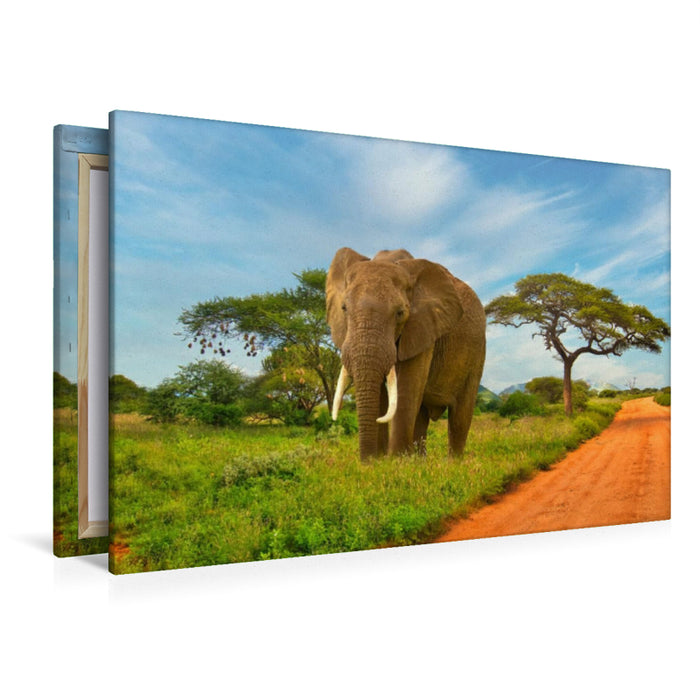 Premium textile canvas Premium textile canvas 120 cm x 80 cm landscape Elephant on the wayside 