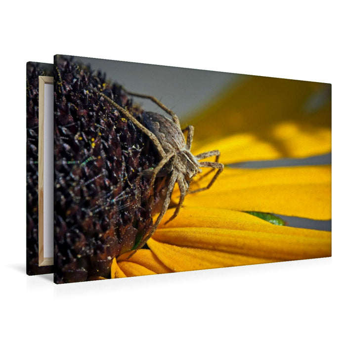 Premium textile canvas Premium textile canvas 120 cm x 80 cm landscape cunning spider 