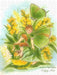 Callophrys Rubi – Grüner Zipfelfalter - CALVENDO Foto-Puzzle - calvendoverlag 29.99