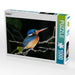 Kingfisher - CALVENDO Foto-Puzzle - calvendoverlag 29.99