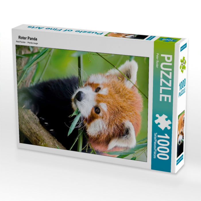 Roter Panda - CALVENDO Foto-Puzzle - calvendoverlag 29.99