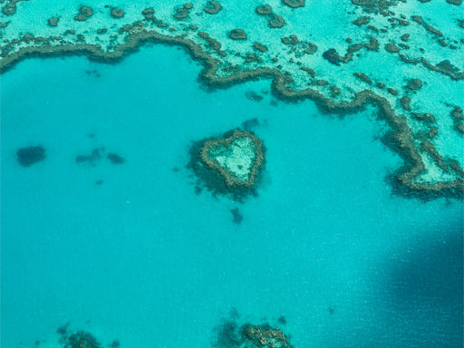Heart Reef, Great Barrier Reef - CALVENDO Foto-Puzzle - calvendoverlag 29.99