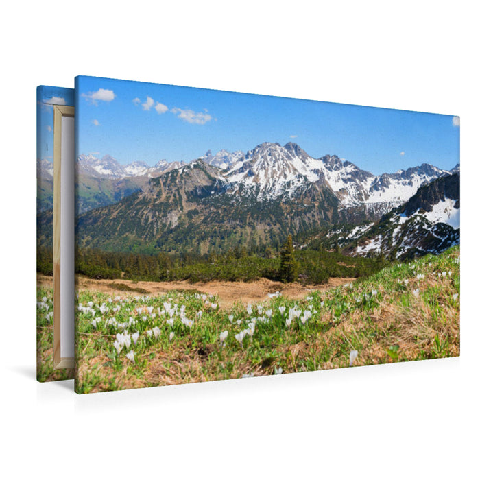 Premium textile canvas Premium textile canvas 120 cm x 80 cm landscape Crocus meadow at Fellhorn 