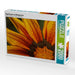 Regentropfen auf Mittagsblume - CALVENDO Foto-Puzzle - calvendoverlag 39.99