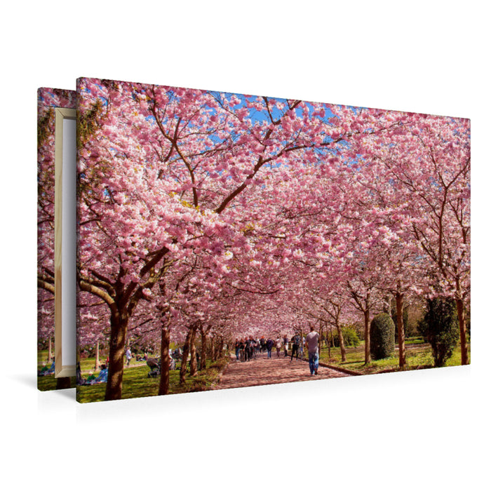 Premium textile canvas Premium textile canvas 120 cm x 80 cm landscape dream paths 