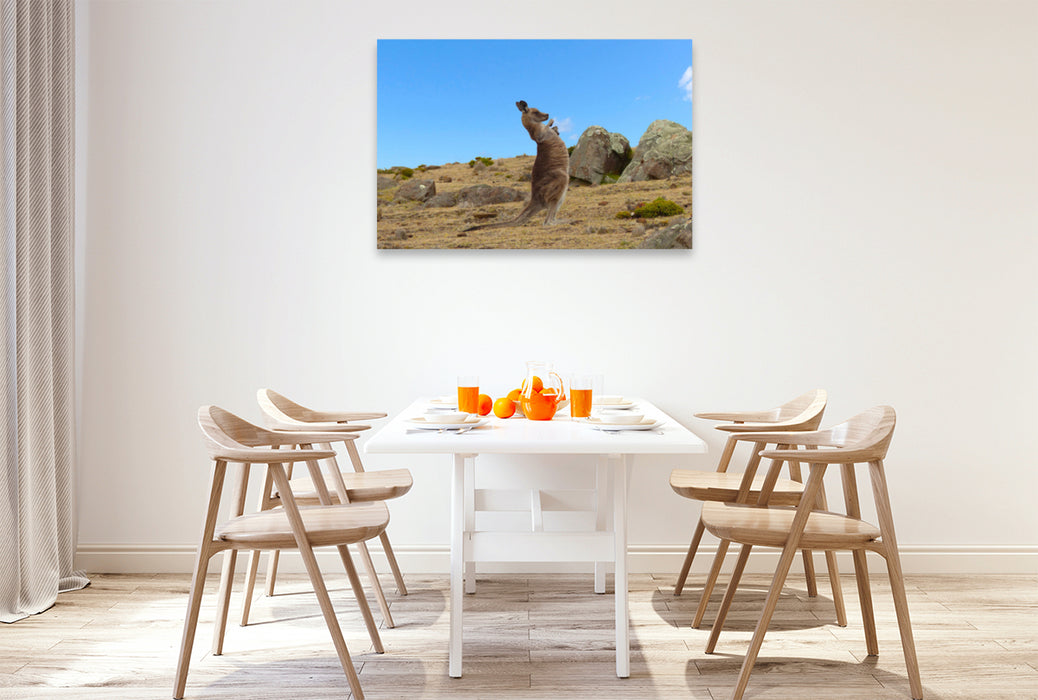 Premium textile canvas Premium textile canvas 120 cm x 80 cm landscape Kangaroo in Australia 